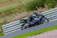 Oulton-Park-Track-Day-18th-Aug-2918;PJ-Motorsport;anglesey;brands-hatch;cadwell-park;croft;donington-park;enduro-digital-images;event-digital-images;eventdigitalimages;mallory;no-limits;oulton-park;peter-wileman-photography;racing-digital-images;silverstone;snetterton;trackday-digital-images;trackday-photos;vmcc-banbury-run;welsh-2-day-enduro