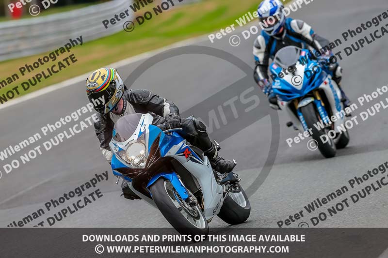 Oulton Park Track Day 18th Aug 2918;PJ Motorsport;anglesey;brands hatch;cadwell park;croft;donington park;enduro digital images;event digital images;eventdigitalimages;mallory;no limits;oulton park;peter wileman photography;racing digital images;silverstone;snetterton;trackday digital images;trackday photos;vmcc banbury run;welsh 2 day enduro