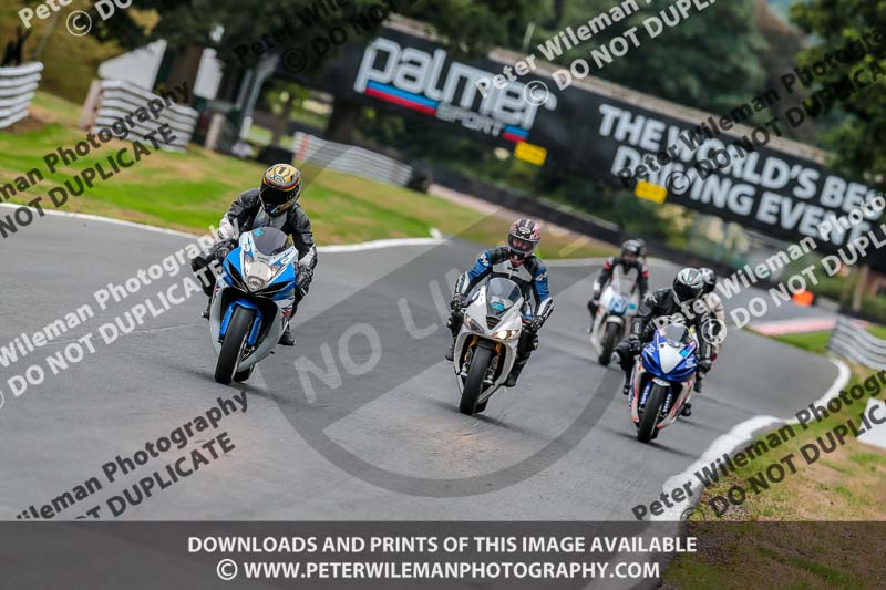 Oulton Park Track Day 18th Aug 2918;PJ Motorsport;anglesey;brands hatch;cadwell park;croft;donington park;enduro digital images;event digital images;eventdigitalimages;mallory;no limits;oulton park;peter wileman photography;racing digital images;silverstone;snetterton;trackday digital images;trackday photos;vmcc banbury run;welsh 2 day enduro