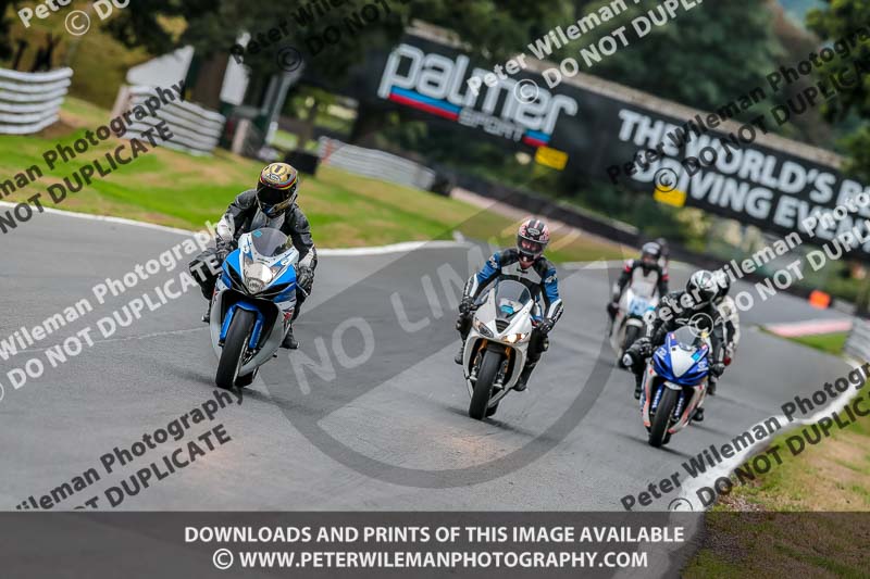 Oulton Park Track Day 18th Aug 2918;PJ Motorsport;anglesey;brands hatch;cadwell park;croft;donington park;enduro digital images;event digital images;eventdigitalimages;mallory;no limits;oulton park;peter wileman photography;racing digital images;silverstone;snetterton;trackday digital images;trackday photos;vmcc banbury run;welsh 2 day enduro