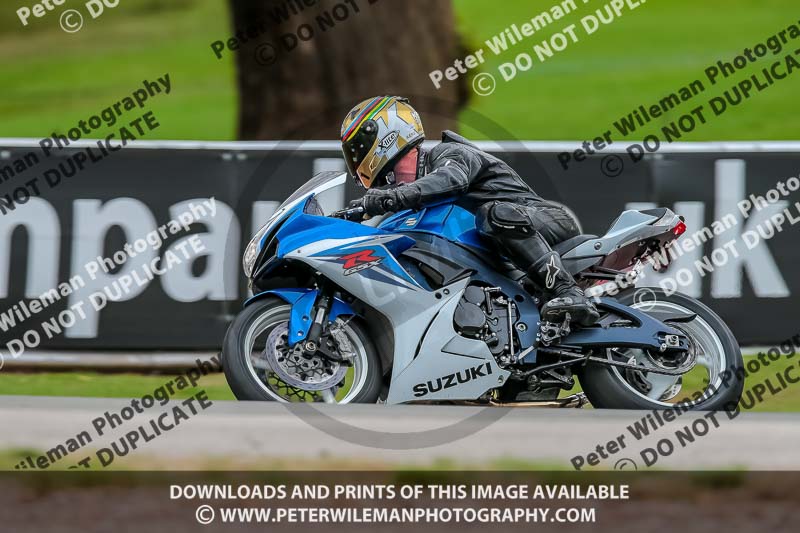 Oulton Park Track Day 18th Aug 2918;PJ Motorsport;anglesey;brands hatch;cadwell park;croft;donington park;enduro digital images;event digital images;eventdigitalimages;mallory;no limits;oulton park;peter wileman photography;racing digital images;silverstone;snetterton;trackday digital images;trackday photos;vmcc banbury run;welsh 2 day enduro