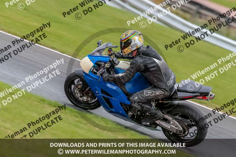 Oulton Park Track Day 18th Aug 2918;PJ Motorsport;anglesey;brands hatch;cadwell park;croft;donington park;enduro digital images;event digital images;eventdigitalimages;mallory;no limits;oulton park;peter wileman photography;racing digital images;silverstone;snetterton;trackday digital images;trackday photos;vmcc banbury run;welsh 2 day enduro