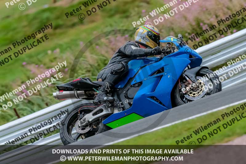 Oulton Park Track Day 18th Aug 2918;PJ Motorsport;anglesey;brands hatch;cadwell park;croft;donington park;enduro digital images;event digital images;eventdigitalimages;mallory;no limits;oulton park;peter wileman photography;racing digital images;silverstone;snetterton;trackday digital images;trackday photos;vmcc banbury run;welsh 2 day enduro