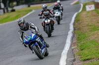 Oulton-Park-Track-Day-18th-Aug-2918;PJ-Motorsport;anglesey;brands-hatch;cadwell-park;croft;donington-park;enduro-digital-images;event-digital-images;eventdigitalimages;mallory;no-limits;oulton-park;peter-wileman-photography;racing-digital-images;silverstone;snetterton;trackday-digital-images;trackday-photos;vmcc-banbury-run;welsh-2-day-enduro