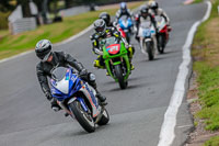 Oulton-Park-Track-Day-18th-Aug-2918;PJ-Motorsport;anglesey;brands-hatch;cadwell-park;croft;donington-park;enduro-digital-images;event-digital-images;eventdigitalimages;mallory;no-limits;oulton-park;peter-wileman-photography;racing-digital-images;silverstone;snetterton;trackday-digital-images;trackday-photos;vmcc-banbury-run;welsh-2-day-enduro