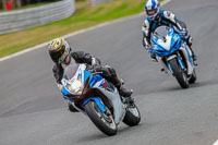 Oulton-Park-Track-Day-18th-Aug-2918;PJ-Motorsport;anglesey;brands-hatch;cadwell-park;croft;donington-park;enduro-digital-images;event-digital-images;eventdigitalimages;mallory;no-limits;oulton-park;peter-wileman-photography;racing-digital-images;silverstone;snetterton;trackday-digital-images;trackday-photos;vmcc-banbury-run;welsh-2-day-enduro