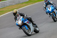 Oulton-Park-Track-Day-18th-Aug-2918;PJ-Motorsport;anglesey;brands-hatch;cadwell-park;croft;donington-park;enduro-digital-images;event-digital-images;eventdigitalimages;mallory;no-limits;oulton-park;peter-wileman-photography;racing-digital-images;silverstone;snetterton;trackday-digital-images;trackday-photos;vmcc-banbury-run;welsh-2-day-enduro