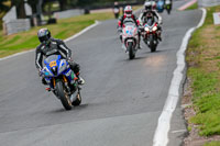 Oulton-Park-Track-Day-18th-Aug-2918;PJ-Motorsport;anglesey;brands-hatch;cadwell-park;croft;donington-park;enduro-digital-images;event-digital-images;eventdigitalimages;mallory;no-limits;oulton-park;peter-wileman-photography;racing-digital-images;silverstone;snetterton;trackday-digital-images;trackday-photos;vmcc-banbury-run;welsh-2-day-enduro