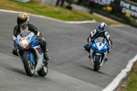 Oulton-Park-Track-Day-18th-Aug-2918;PJ-Motorsport;anglesey;brands-hatch;cadwell-park;croft;donington-park;enduro-digital-images;event-digital-images;eventdigitalimages;mallory;no-limits;oulton-park;peter-wileman-photography;racing-digital-images;silverstone;snetterton;trackday-digital-images;trackday-photos;vmcc-banbury-run;welsh-2-day-enduro