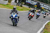 Oulton-Park-Track-Day-18th-Aug-2918;PJ-Motorsport;anglesey;brands-hatch;cadwell-park;croft;donington-park;enduro-digital-images;event-digital-images;eventdigitalimages;mallory;no-limits;oulton-park;peter-wileman-photography;racing-digital-images;silverstone;snetterton;trackday-digital-images;trackday-photos;vmcc-banbury-run;welsh-2-day-enduro