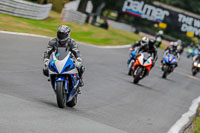 Oulton-Park-Track-Day-18th-Aug-2918;PJ-Motorsport;anglesey;brands-hatch;cadwell-park;croft;donington-park;enduro-digital-images;event-digital-images;eventdigitalimages;mallory;no-limits;oulton-park;peter-wileman-photography;racing-digital-images;silverstone;snetterton;trackday-digital-images;trackday-photos;vmcc-banbury-run;welsh-2-day-enduro