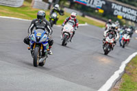 Oulton-Park-Track-Day-18th-Aug-2918;PJ-Motorsport;anglesey;brands-hatch;cadwell-park;croft;donington-park;enduro-digital-images;event-digital-images;eventdigitalimages;mallory;no-limits;oulton-park;peter-wileman-photography;racing-digital-images;silverstone;snetterton;trackday-digital-images;trackday-photos;vmcc-banbury-run;welsh-2-day-enduro