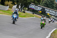 Oulton-Park-Track-Day-18th-Aug-2918;PJ-Motorsport;anglesey;brands-hatch;cadwell-park;croft;donington-park;enduro-digital-images;event-digital-images;eventdigitalimages;mallory;no-limits;oulton-park;peter-wileman-photography;racing-digital-images;silverstone;snetterton;trackday-digital-images;trackday-photos;vmcc-banbury-run;welsh-2-day-enduro