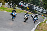 Oulton-Park-Track-Day-18th-Aug-2918;PJ-Motorsport;anglesey;brands-hatch;cadwell-park;croft;donington-park;enduro-digital-images;event-digital-images;eventdigitalimages;mallory;no-limits;oulton-park;peter-wileman-photography;racing-digital-images;silverstone;snetterton;trackday-digital-images;trackday-photos;vmcc-banbury-run;welsh-2-day-enduro