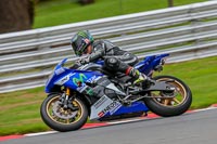 Oulton-Park-Track-Day-18th-Aug-2918;PJ-Motorsport;anglesey;brands-hatch;cadwell-park;croft;donington-park;enduro-digital-images;event-digital-images;eventdigitalimages;mallory;no-limits;oulton-park;peter-wileman-photography;racing-digital-images;silverstone;snetterton;trackday-digital-images;trackday-photos;vmcc-banbury-run;welsh-2-day-enduro