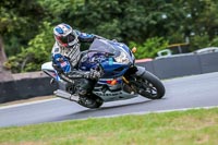 Oulton-Park-Track-Day-18th-Aug-2918;PJ-Motorsport;anglesey;brands-hatch;cadwell-park;croft;donington-park;enduro-digital-images;event-digital-images;eventdigitalimages;mallory;no-limits;oulton-park;peter-wileman-photography;racing-digital-images;silverstone;snetterton;trackday-digital-images;trackday-photos;vmcc-banbury-run;welsh-2-day-enduro