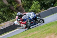 Oulton-Park-Track-Day-18th-Aug-2918;PJ-Motorsport;anglesey;brands-hatch;cadwell-park;croft;donington-park;enduro-digital-images;event-digital-images;eventdigitalimages;mallory;no-limits;oulton-park;peter-wileman-photography;racing-digital-images;silverstone;snetterton;trackday-digital-images;trackday-photos;vmcc-banbury-run;welsh-2-day-enduro