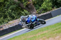 Oulton-Park-Track-Day-18th-Aug-2918;PJ-Motorsport;anglesey;brands-hatch;cadwell-park;croft;donington-park;enduro-digital-images;event-digital-images;eventdigitalimages;mallory;no-limits;oulton-park;peter-wileman-photography;racing-digital-images;silverstone;snetterton;trackday-digital-images;trackday-photos;vmcc-banbury-run;welsh-2-day-enduro