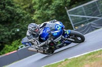 Oulton-Park-Track-Day-18th-Aug-2918;PJ-Motorsport;anglesey;brands-hatch;cadwell-park;croft;donington-park;enduro-digital-images;event-digital-images;eventdigitalimages;mallory;no-limits;oulton-park;peter-wileman-photography;racing-digital-images;silverstone;snetterton;trackday-digital-images;trackday-photos;vmcc-banbury-run;welsh-2-day-enduro