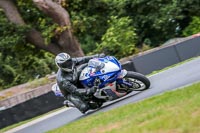 Oulton-Park-Track-Day-18th-Aug-2918;PJ-Motorsport;anglesey;brands-hatch;cadwell-park;croft;donington-park;enduro-digital-images;event-digital-images;eventdigitalimages;mallory;no-limits;oulton-park;peter-wileman-photography;racing-digital-images;silverstone;snetterton;trackday-digital-images;trackday-photos;vmcc-banbury-run;welsh-2-day-enduro