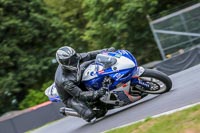 Oulton-Park-Track-Day-18th-Aug-2918;PJ-Motorsport;anglesey;brands-hatch;cadwell-park;croft;donington-park;enduro-digital-images;event-digital-images;eventdigitalimages;mallory;no-limits;oulton-park;peter-wileman-photography;racing-digital-images;silverstone;snetterton;trackday-digital-images;trackday-photos;vmcc-banbury-run;welsh-2-day-enduro