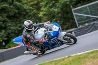 Oulton-Park-Track-Day-18th-Aug-2918;PJ-Motorsport;anglesey;brands-hatch;cadwell-park;croft;donington-park;enduro-digital-images;event-digital-images;eventdigitalimages;mallory;no-limits;oulton-park;peter-wileman-photography;racing-digital-images;silverstone;snetterton;trackday-digital-images;trackday-photos;vmcc-banbury-run;welsh-2-day-enduro