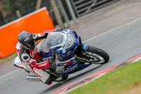 Oulton-Park-Track-Day-18th-Aug-2918;PJ-Motorsport;anglesey;brands-hatch;cadwell-park;croft;donington-park;enduro-digital-images;event-digital-images;eventdigitalimages;mallory;no-limits;oulton-park;peter-wileman-photography;racing-digital-images;silverstone;snetterton;trackday-digital-images;trackday-photos;vmcc-banbury-run;welsh-2-day-enduro