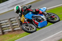 Oulton-Park-Track-Day-18th-Aug-2918;PJ-Motorsport;anglesey;brands-hatch;cadwell-park;croft;donington-park;enduro-digital-images;event-digital-images;eventdigitalimages;mallory;no-limits;oulton-park;peter-wileman-photography;racing-digital-images;silverstone;snetterton;trackday-digital-images;trackday-photos;vmcc-banbury-run;welsh-2-day-enduro