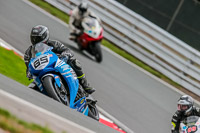 Oulton-Park-Track-Day-18th-Aug-2918;PJ-Motorsport;anglesey;brands-hatch;cadwell-park;croft;donington-park;enduro-digital-images;event-digital-images;eventdigitalimages;mallory;no-limits;oulton-park;peter-wileman-photography;racing-digital-images;silverstone;snetterton;trackday-digital-images;trackday-photos;vmcc-banbury-run;welsh-2-day-enduro