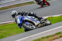 Oulton-Park-Track-Day-18th-Aug-2918;PJ-Motorsport;anglesey;brands-hatch;cadwell-park;croft;donington-park;enduro-digital-images;event-digital-images;eventdigitalimages;mallory;no-limits;oulton-park;peter-wileman-photography;racing-digital-images;silverstone;snetterton;trackday-digital-images;trackday-photos;vmcc-banbury-run;welsh-2-day-enduro