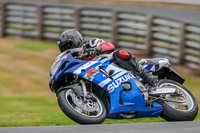 Oulton-Park-Track-Day-18th-Aug-2918;PJ-Motorsport;anglesey;brands-hatch;cadwell-park;croft;donington-park;enduro-digital-images;event-digital-images;eventdigitalimages;mallory;no-limits;oulton-park;peter-wileman-photography;racing-digital-images;silverstone;snetterton;trackday-digital-images;trackday-photos;vmcc-banbury-run;welsh-2-day-enduro