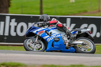 Oulton-Park-Track-Day-18th-Aug-2918;PJ-Motorsport;anglesey;brands-hatch;cadwell-park;croft;donington-park;enduro-digital-images;event-digital-images;eventdigitalimages;mallory;no-limits;oulton-park;peter-wileman-photography;racing-digital-images;silverstone;snetterton;trackday-digital-images;trackday-photos;vmcc-banbury-run;welsh-2-day-enduro