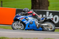 Oulton-Park-Track-Day-18th-Aug-2918;PJ-Motorsport;anglesey;brands-hatch;cadwell-park;croft;donington-park;enduro-digital-images;event-digital-images;eventdigitalimages;mallory;no-limits;oulton-park;peter-wileman-photography;racing-digital-images;silverstone;snetterton;trackday-digital-images;trackday-photos;vmcc-banbury-run;welsh-2-day-enduro