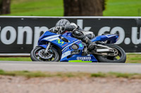 Oulton-Park-Track-Day-18th-Aug-2918;PJ-Motorsport;anglesey;brands-hatch;cadwell-park;croft;donington-park;enduro-digital-images;event-digital-images;eventdigitalimages;mallory;no-limits;oulton-park;peter-wileman-photography;racing-digital-images;silverstone;snetterton;trackday-digital-images;trackday-photos;vmcc-banbury-run;welsh-2-day-enduro