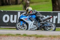 Oulton-Park-Track-Day-18th-Aug-2918;PJ-Motorsport;anglesey;brands-hatch;cadwell-park;croft;donington-park;enduro-digital-images;event-digital-images;eventdigitalimages;mallory;no-limits;oulton-park;peter-wileman-photography;racing-digital-images;silverstone;snetterton;trackday-digital-images;trackday-photos;vmcc-banbury-run;welsh-2-day-enduro