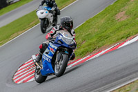 Oulton-Park-Track-Day-18th-Aug-2918;PJ-Motorsport;anglesey;brands-hatch;cadwell-park;croft;donington-park;enduro-digital-images;event-digital-images;eventdigitalimages;mallory;no-limits;oulton-park;peter-wileman-photography;racing-digital-images;silverstone;snetterton;trackday-digital-images;trackday-photos;vmcc-banbury-run;welsh-2-day-enduro