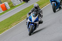 Oulton-Park-Track-Day-18th-Aug-2918;PJ-Motorsport;anglesey;brands-hatch;cadwell-park;croft;donington-park;enduro-digital-images;event-digital-images;eventdigitalimages;mallory;no-limits;oulton-park;peter-wileman-photography;racing-digital-images;silverstone;snetterton;trackday-digital-images;trackday-photos;vmcc-banbury-run;welsh-2-day-enduro