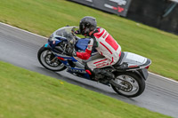 Oulton-Park-Track-Day-18th-Aug-2918;PJ-Motorsport;anglesey;brands-hatch;cadwell-park;croft;donington-park;enduro-digital-images;event-digital-images;eventdigitalimages;mallory;no-limits;oulton-park;peter-wileman-photography;racing-digital-images;silverstone;snetterton;trackday-digital-images;trackday-photos;vmcc-banbury-run;welsh-2-day-enduro