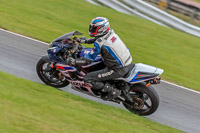 Oulton-Park-Track-Day-18th-Aug-2918;PJ-Motorsport;anglesey;brands-hatch;cadwell-park;croft;donington-park;enduro-digital-images;event-digital-images;eventdigitalimages;mallory;no-limits;oulton-park;peter-wileman-photography;racing-digital-images;silverstone;snetterton;trackday-digital-images;trackday-photos;vmcc-banbury-run;welsh-2-day-enduro