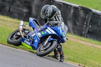 Oulton-Park-Track-Day-18th-Aug-2918;PJ-Motorsport;anglesey;brands-hatch;cadwell-park;croft;donington-park;enduro-digital-images;event-digital-images;eventdigitalimages;mallory;no-limits;oulton-park;peter-wileman-photography;racing-digital-images;silverstone;snetterton;trackday-digital-images;trackday-photos;vmcc-banbury-run;welsh-2-day-enduro