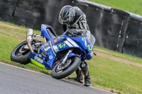 Oulton-Park-Track-Day-18th-Aug-2918;PJ-Motorsport;anglesey;brands-hatch;cadwell-park;croft;donington-park;enduro-digital-images;event-digital-images;eventdigitalimages;mallory;no-limits;oulton-park;peter-wileman-photography;racing-digital-images;silverstone;snetterton;trackday-digital-images;trackday-photos;vmcc-banbury-run;welsh-2-day-enduro