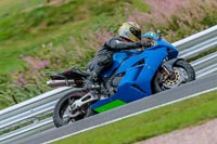 Oulton-Park-Track-Day-18th-Aug-2918;PJ-Motorsport;anglesey;brands-hatch;cadwell-park;croft;donington-park;enduro-digital-images;event-digital-images;eventdigitalimages;mallory;no-limits;oulton-park;peter-wileman-photography;racing-digital-images;silverstone;snetterton;trackday-digital-images;trackday-photos;vmcc-banbury-run;welsh-2-day-enduro