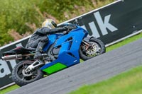 Oulton-Park-Track-Day-18th-Aug-2918;PJ-Motorsport;anglesey;brands-hatch;cadwell-park;croft;donington-park;enduro-digital-images;event-digital-images;eventdigitalimages;mallory;no-limits;oulton-park;peter-wileman-photography;racing-digital-images;silverstone;snetterton;trackday-digital-images;trackday-photos;vmcc-banbury-run;welsh-2-day-enduro