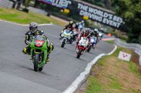 Oulton-Park-Track-Day-18th-Aug-2918;PJ-Motorsport;anglesey;brands-hatch;cadwell-park;croft;donington-park;enduro-digital-images;event-digital-images;eventdigitalimages;mallory;no-limits;oulton-park;peter-wileman-photography;racing-digital-images;silverstone;snetterton;trackday-digital-images;trackday-photos;vmcc-banbury-run;welsh-2-day-enduro