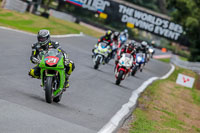 Oulton-Park-Track-Day-18th-Aug-2918;PJ-Motorsport;anglesey;brands-hatch;cadwell-park;croft;donington-park;enduro-digital-images;event-digital-images;eventdigitalimages;mallory;no-limits;oulton-park;peter-wileman-photography;racing-digital-images;silverstone;snetterton;trackday-digital-images;trackday-photos;vmcc-banbury-run;welsh-2-day-enduro