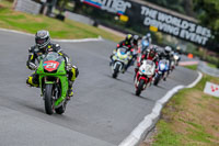 Oulton-Park-Track-Day-18th-Aug-2918;PJ-Motorsport;anglesey;brands-hatch;cadwell-park;croft;donington-park;enduro-digital-images;event-digital-images;eventdigitalimages;mallory;no-limits;oulton-park;peter-wileman-photography;racing-digital-images;silverstone;snetterton;trackday-digital-images;trackday-photos;vmcc-banbury-run;welsh-2-day-enduro