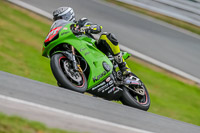 Oulton-Park-Track-Day-18th-Aug-2918;PJ-Motorsport;anglesey;brands-hatch;cadwell-park;croft;donington-park;enduro-digital-images;event-digital-images;eventdigitalimages;mallory;no-limits;oulton-park;peter-wileman-photography;racing-digital-images;silverstone;snetterton;trackday-digital-images;trackday-photos;vmcc-banbury-run;welsh-2-day-enduro