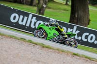 Oulton-Park-Track-Day-18th-Aug-2918;PJ-Motorsport;anglesey;brands-hatch;cadwell-park;croft;donington-park;enduro-digital-images;event-digital-images;eventdigitalimages;mallory;no-limits;oulton-park;peter-wileman-photography;racing-digital-images;silverstone;snetterton;trackday-digital-images;trackday-photos;vmcc-banbury-run;welsh-2-day-enduro