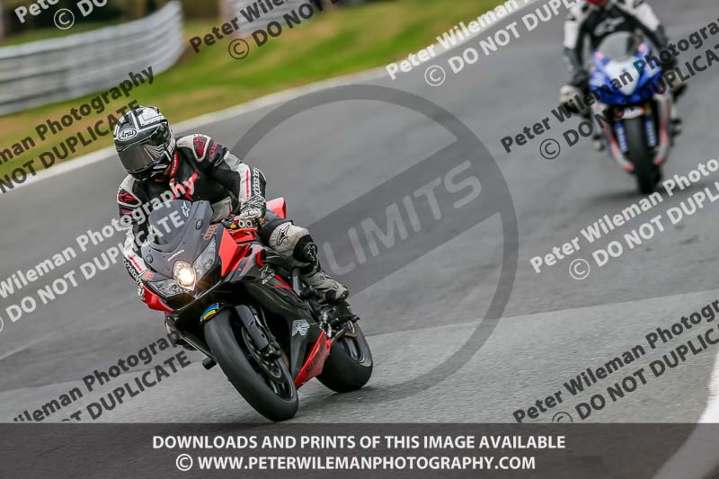 Oulton Park Track Day 18th Aug 2918;PJ Motorsport;anglesey;brands hatch;cadwell park;croft;donington park;enduro digital images;event digital images;eventdigitalimages;mallory;no limits;oulton park;peter wileman photography;racing digital images;silverstone;snetterton;trackday digital images;trackday photos;vmcc banbury run;welsh 2 day enduro