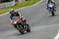 Oulton-Park-Track-Day-18th-Aug-2918;PJ-Motorsport;anglesey;brands-hatch;cadwell-park;croft;donington-park;enduro-digital-images;event-digital-images;eventdigitalimages;mallory;no-limits;oulton-park;peter-wileman-photography;racing-digital-images;silverstone;snetterton;trackday-digital-images;trackday-photos;vmcc-banbury-run;welsh-2-day-enduro